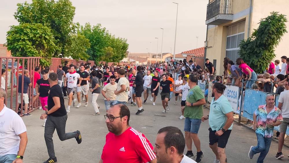 Multitudinario segundo encierro en Macotera