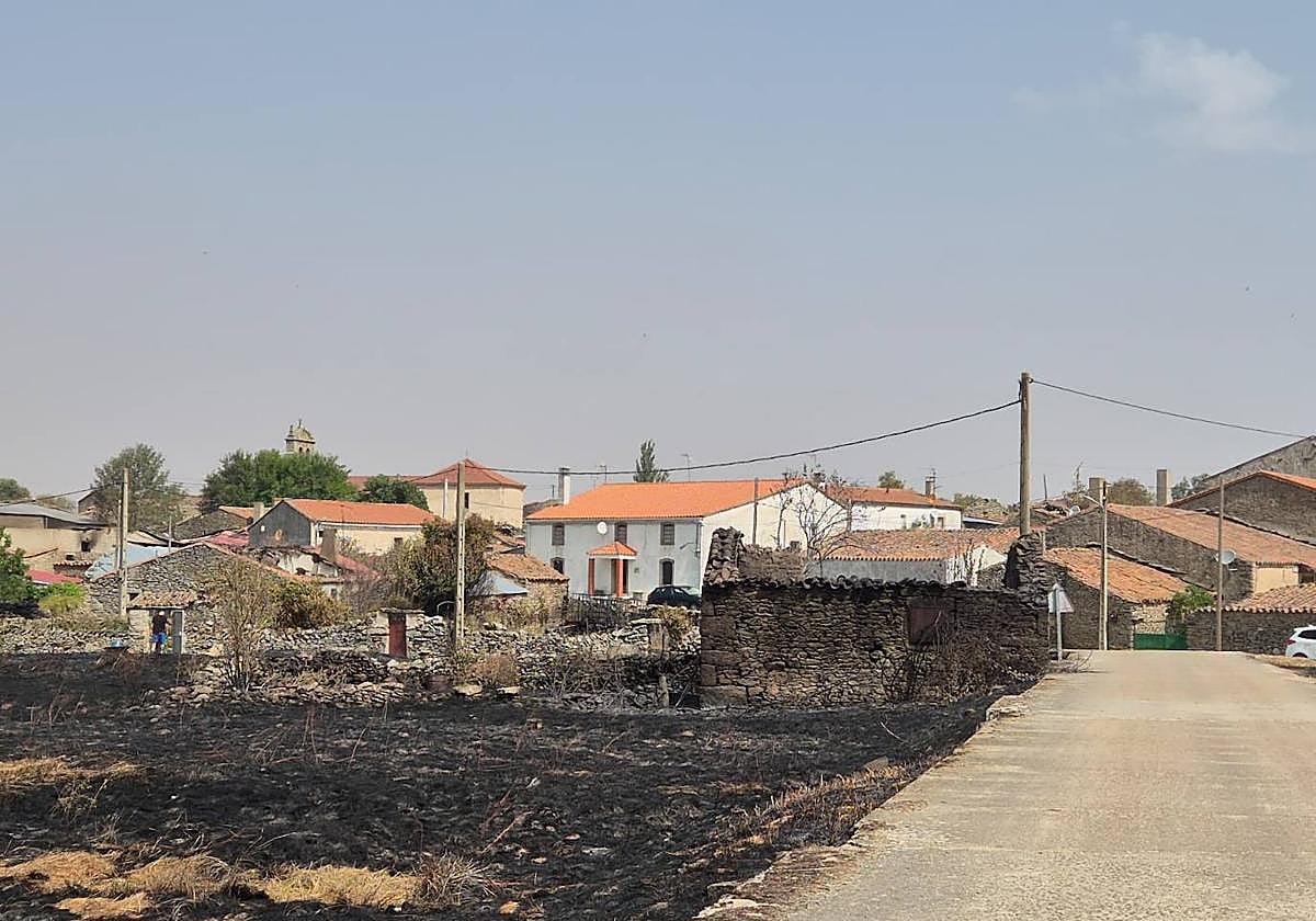 Imagen de parte de la superficie que ha calcinado el fuego en Cerezal de Puertas.