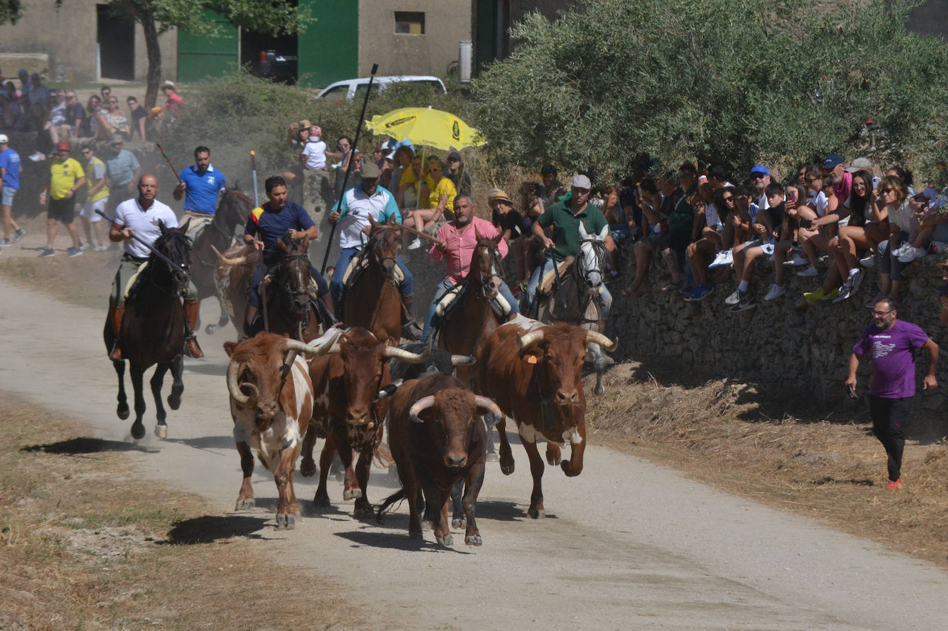 Trepidante encierro a caballo en las inmediaciones del municipio.