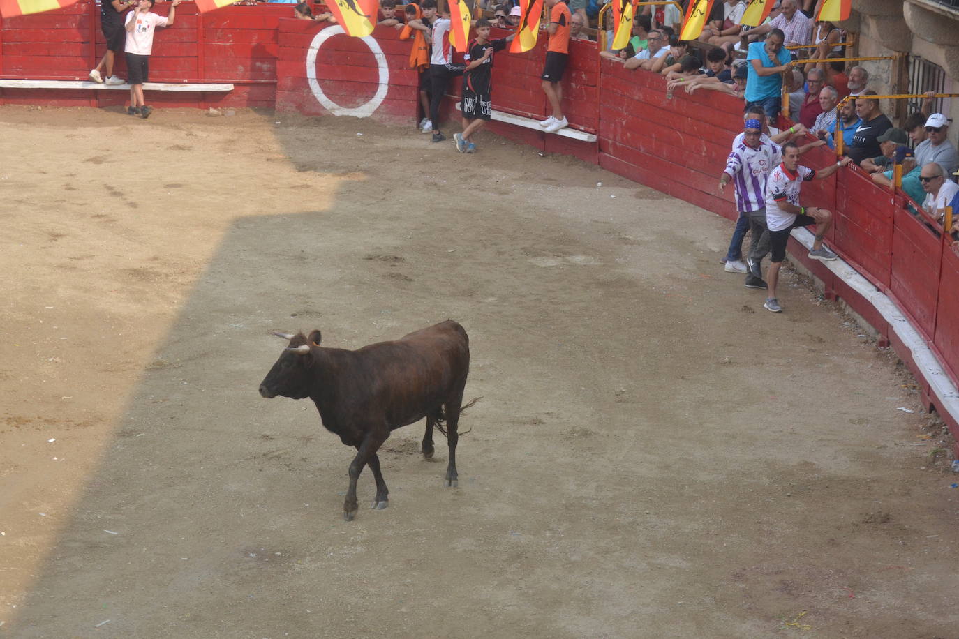 Villarino vive la última carrera por San Roque