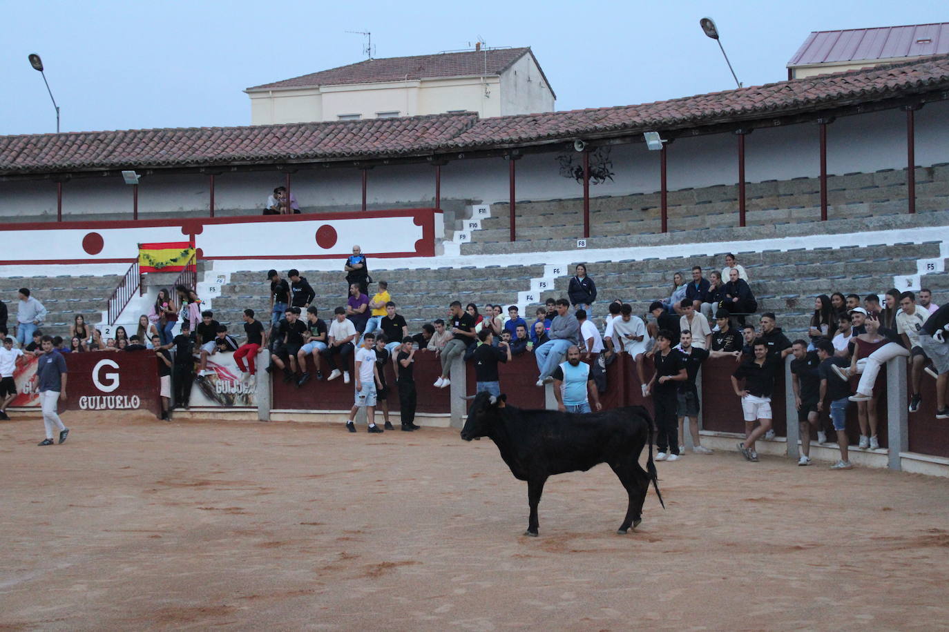 Guijuelo vive con intensidad la vaquilla del aguardiente