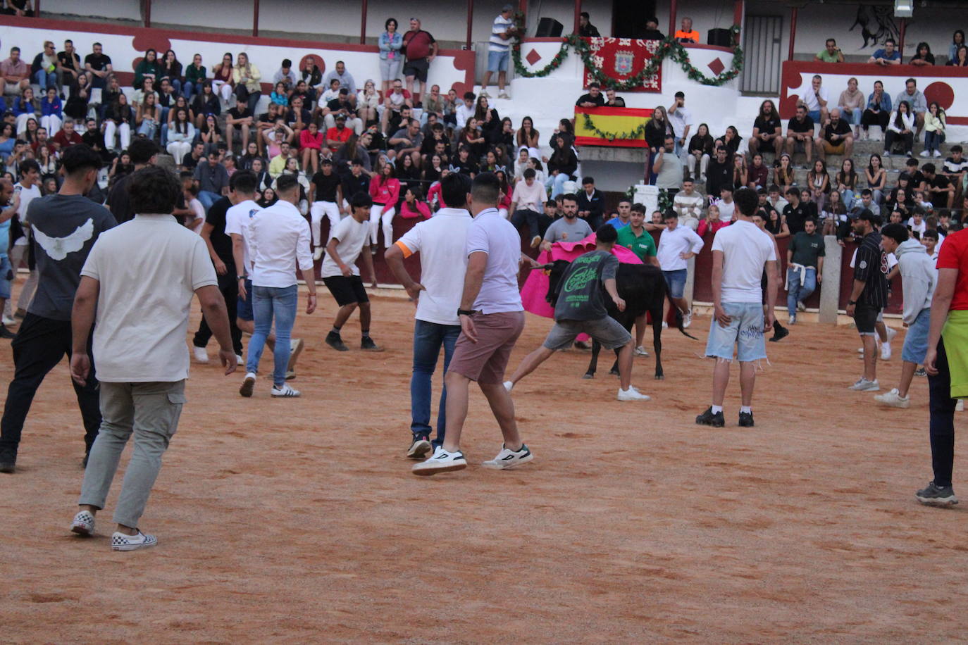 Guijuelo vive con intensidad la vaquilla del aguardiente