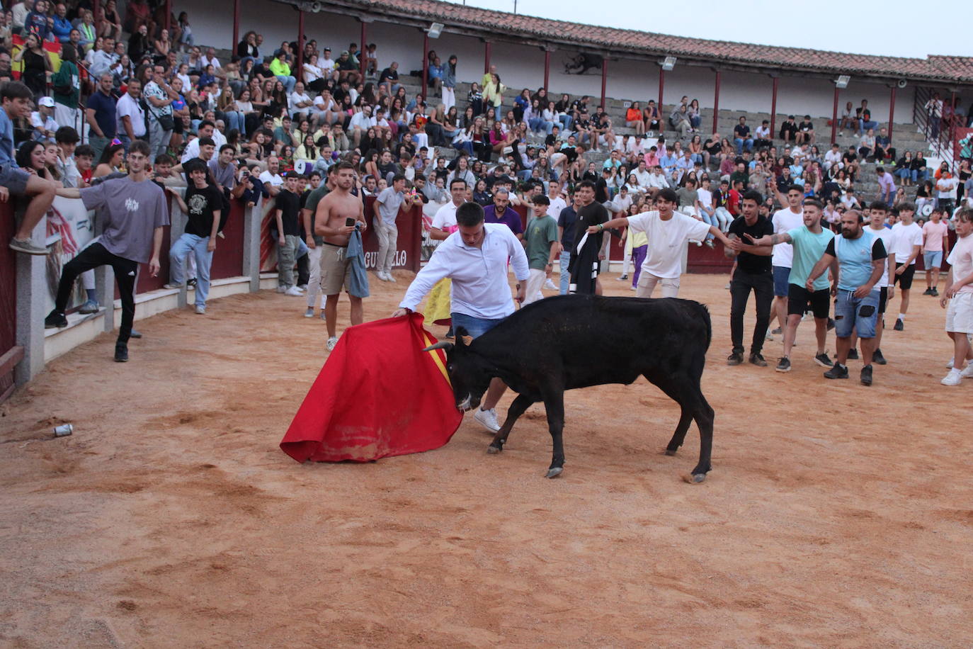 Guijuelo vive con intensidad la vaquilla del aguardiente