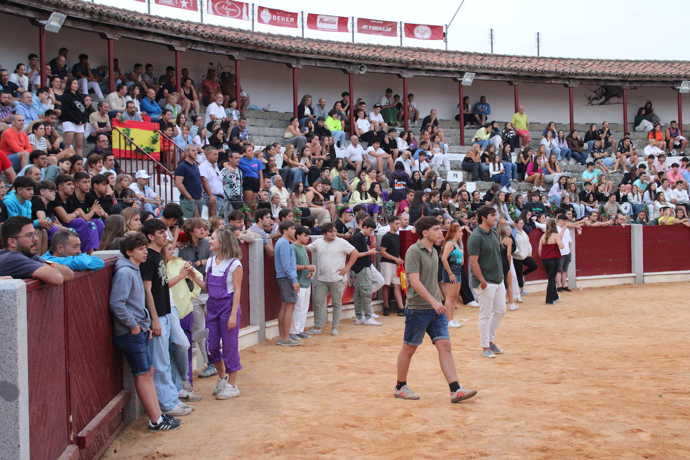 Guijuelo vive con intensidad la vaquilla del aguardiente