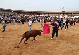 La plaza de toros se llenó para disfrutar de la vaquilla.
