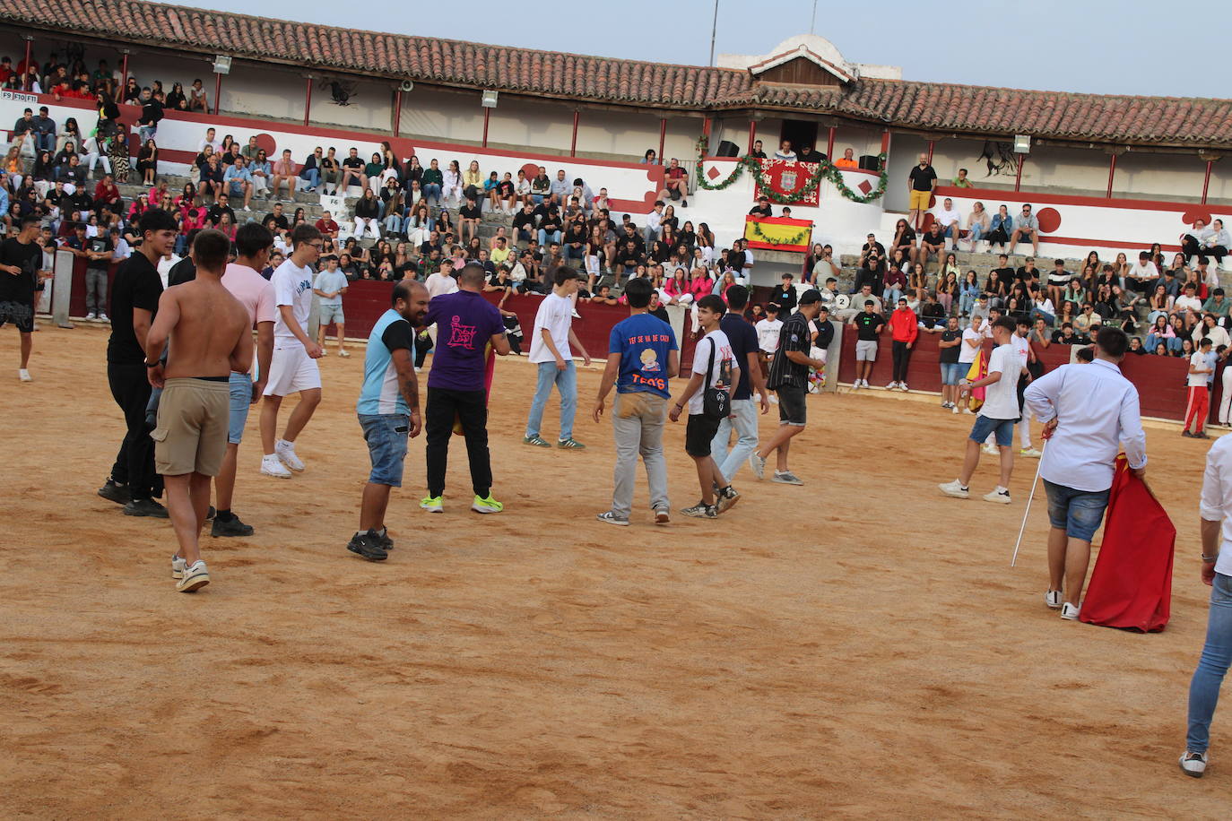 Guijuelo vive con intensidad la vaquilla del aguardiente