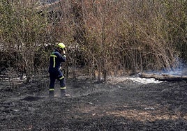 Un bombero de la Diputación de Salamanca, durante las labores de extinción del incendio de Cipérez.