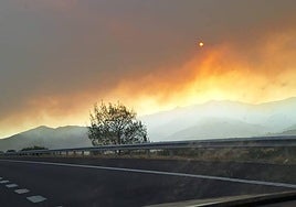 ¿Se ha visto obligado a cambiar sus planes turísticos por culpa de los incendios?