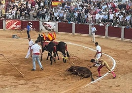 Diosleguarde felicita a Faisán, de Toros de Orive, mientras se le rinden los honores de la vuelta al ruedo en el arrastre.