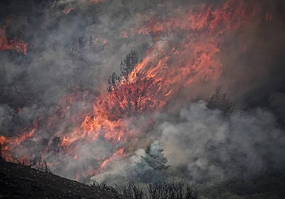 Vista de las llamas del incendio declarado en el Puerto de San Glorio.