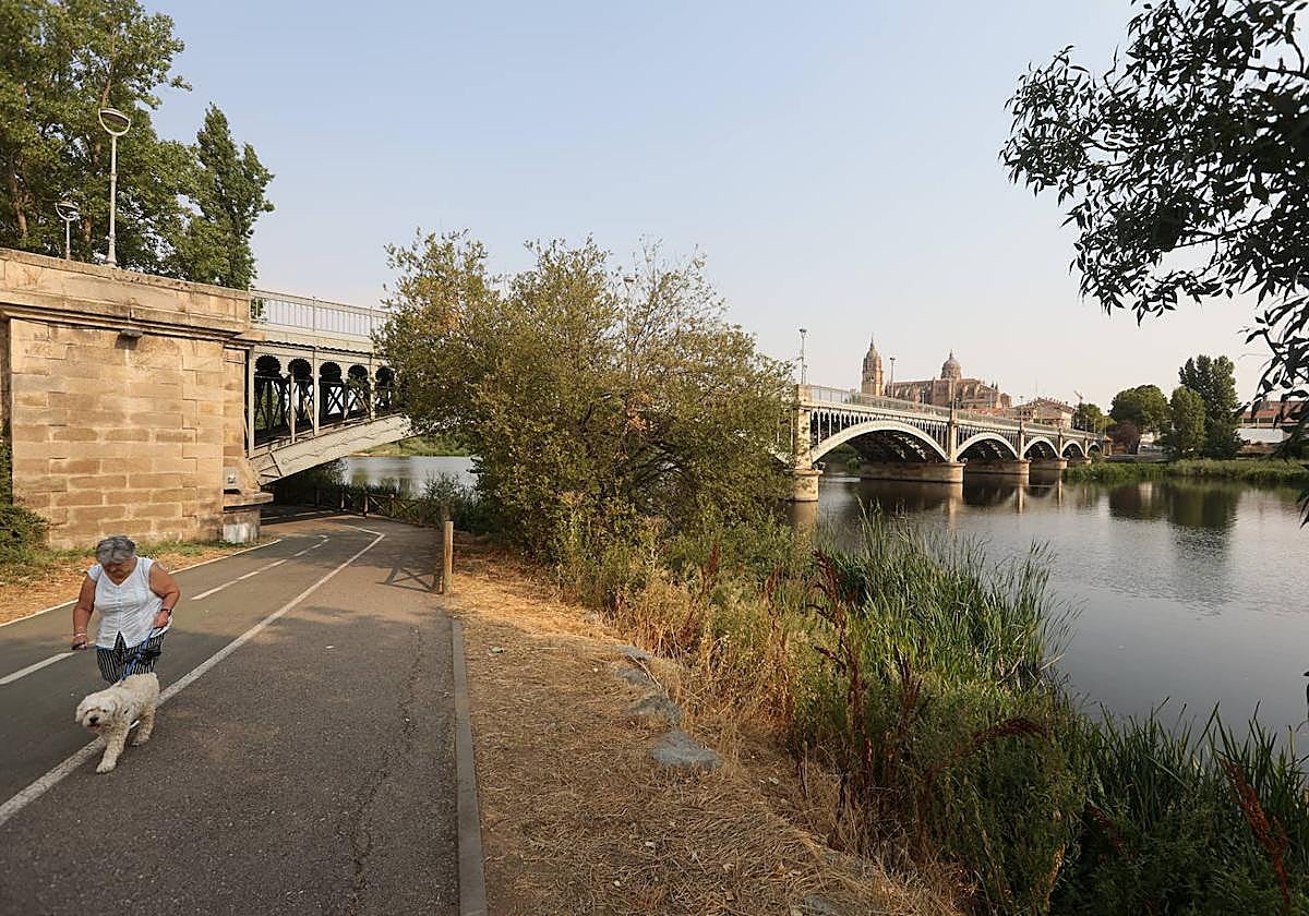 Vistas del paseo fluvial desde uno de sus caminos.