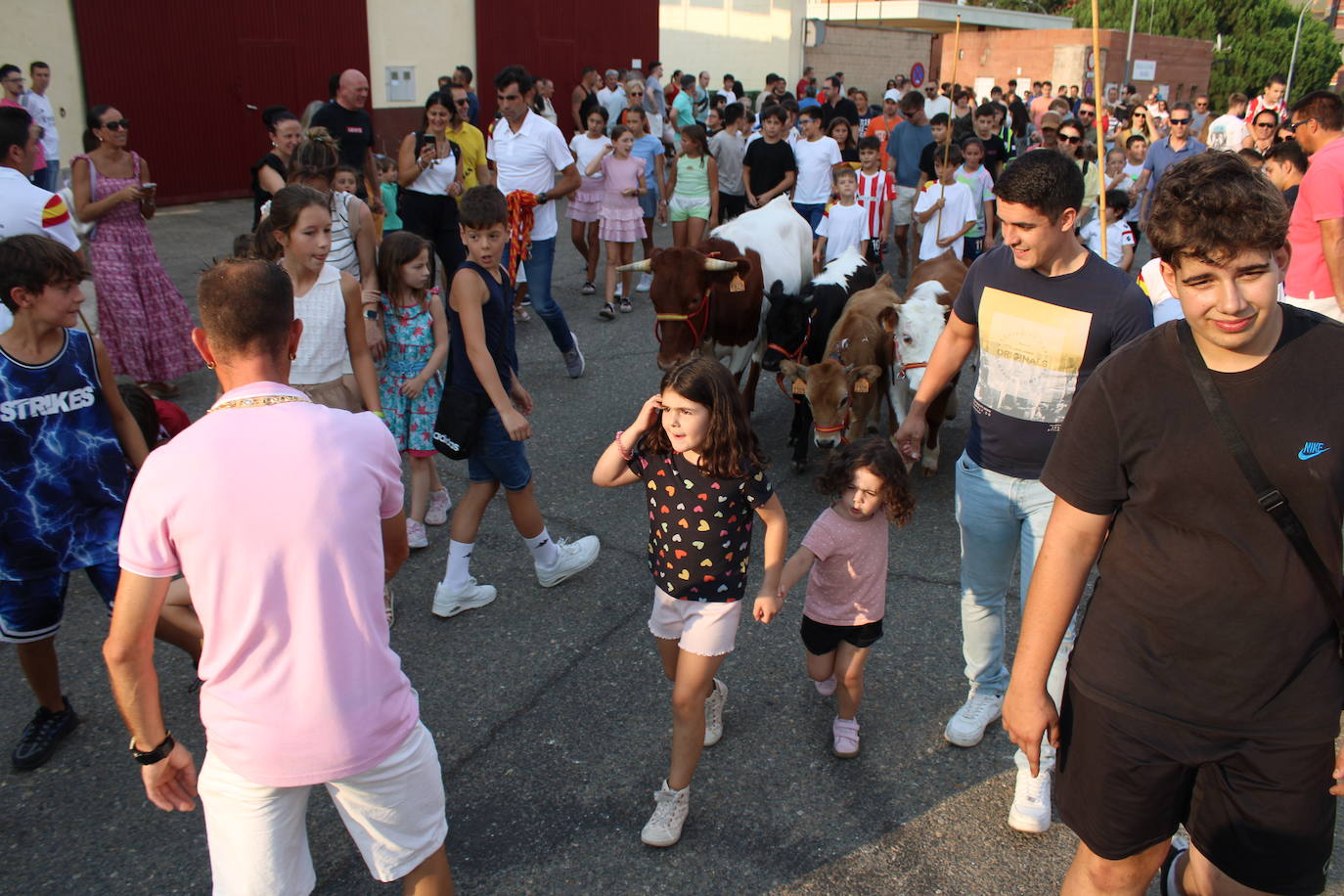 Guijuelo vive con intensidad la vaquilla del aguardiente