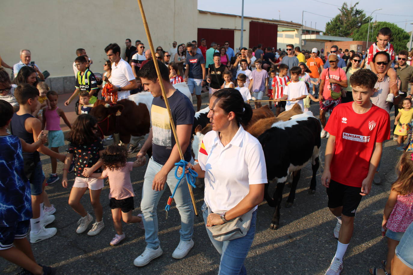 Guijuelo vive con intensidad la vaquilla del aguardiente