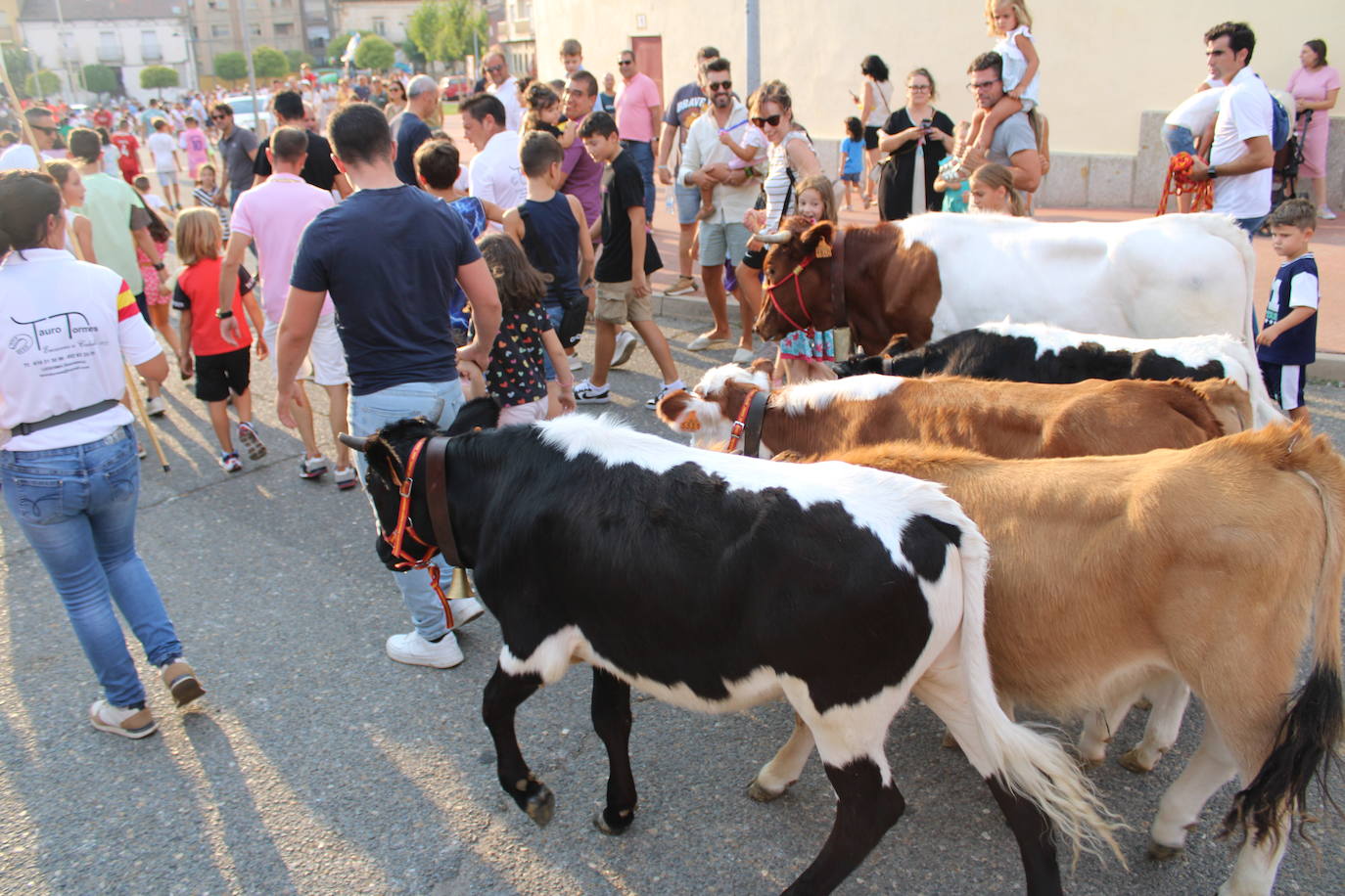 Guijuelo vive con intensidad la vaquilla del aguardiente
