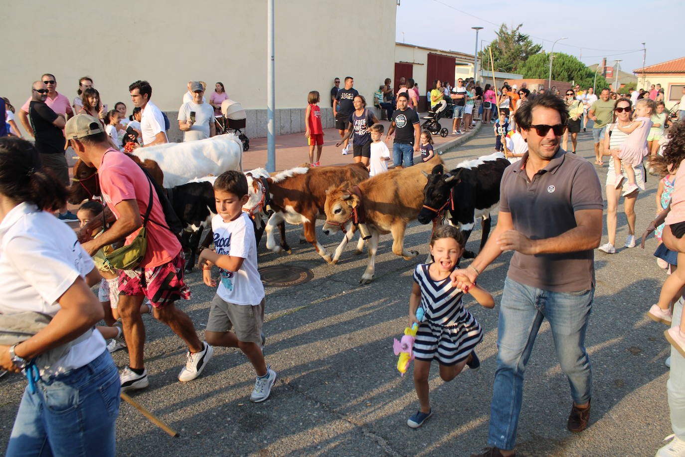 Guijuelo vive con intensidad la vaquilla del aguardiente