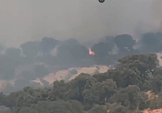 Panorámica del incendio en el pinar de Alba de Tormes.