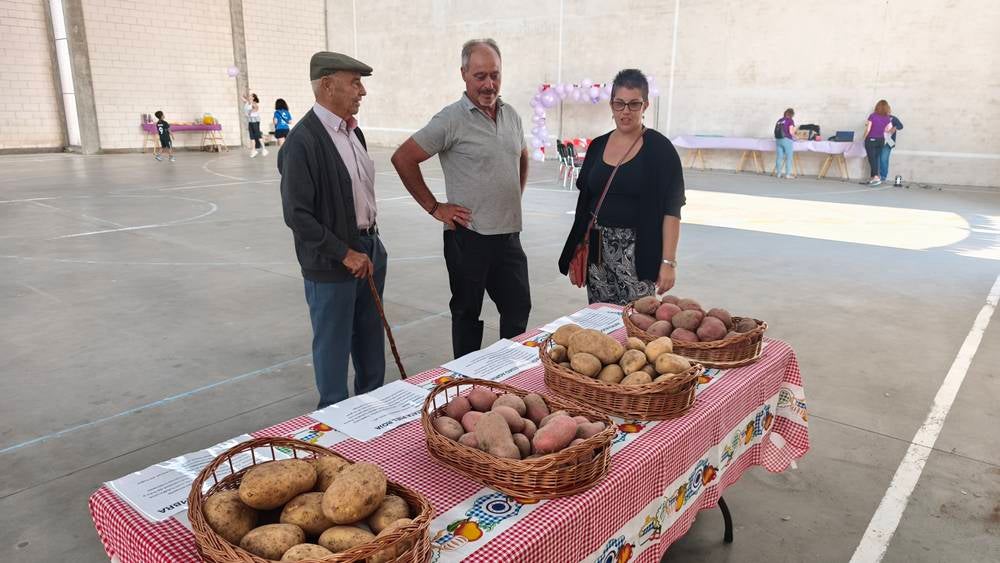 Patata de Arabayona en femenino