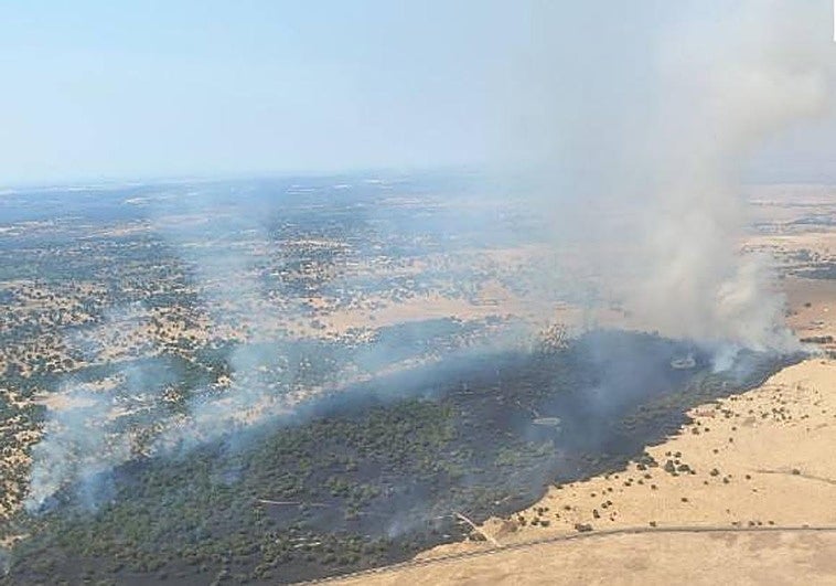 Controlado un incendio en Moronta