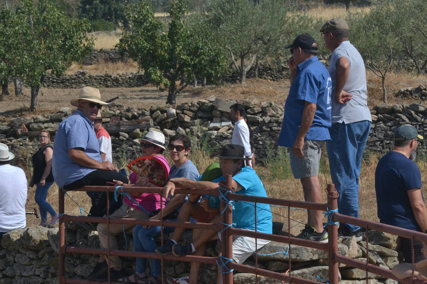 Brillante encierro a caballo en Lumbrales