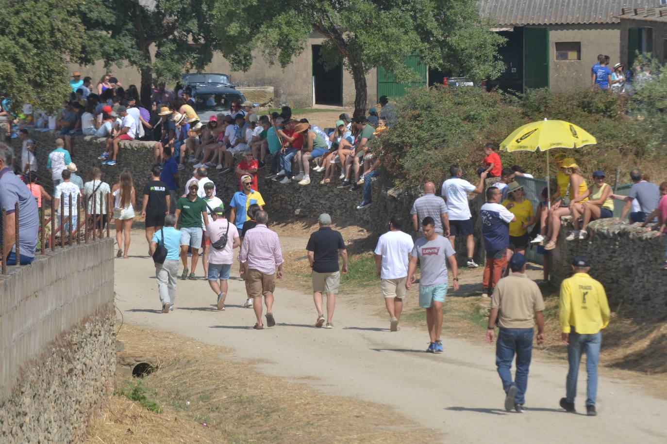 Brillante encierro a caballo en Lumbrales