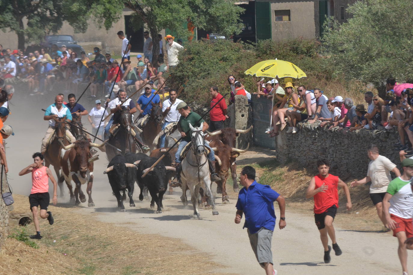 Brillante encierro a caballo en Lumbrales
