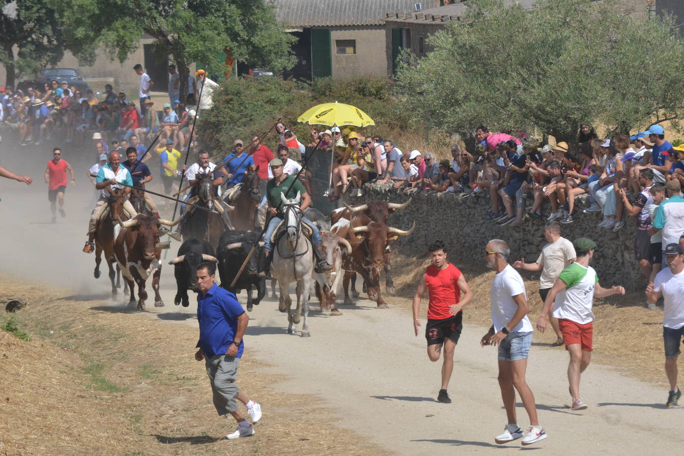Brillante encierro a caballo en Lumbrales