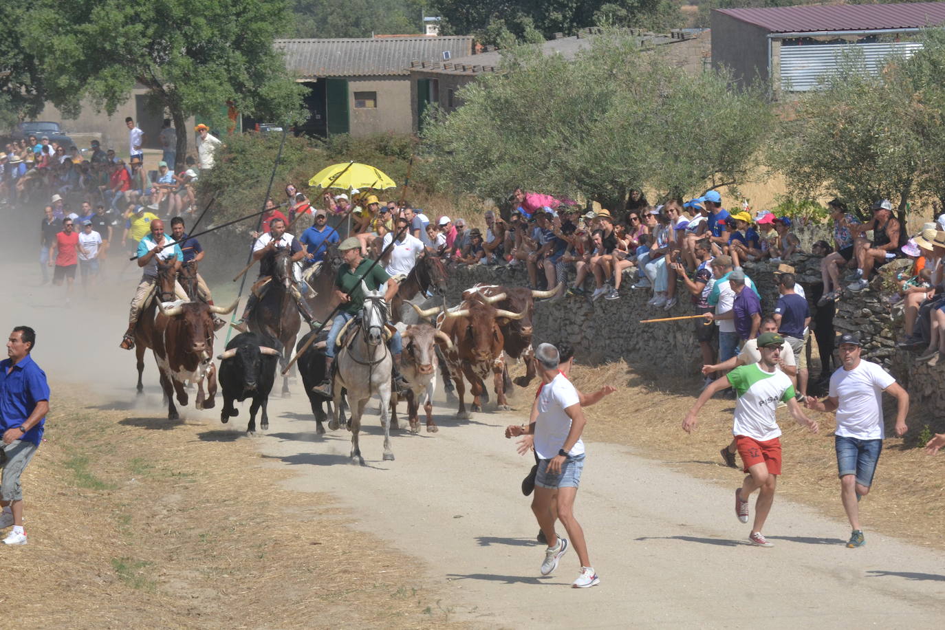 Brillante encierro a caballo en Lumbrales
