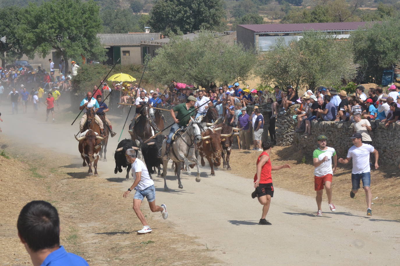 Brillante encierro a caballo en Lumbrales