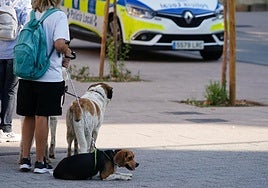 ¿Está de acuerdo con la custodia compartida de las mascotas?