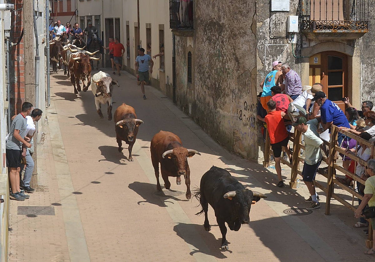 Lumbrales celebra un encierro vibrante