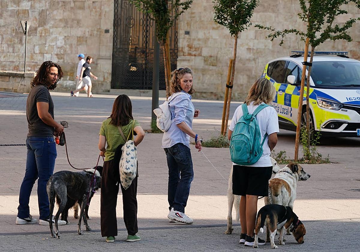 Dueños paseando a sus mascotas por el centro de la ciudad.