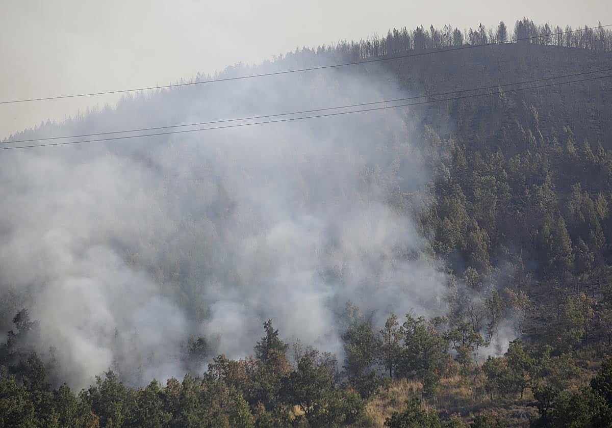 La Guardia Civil detiene al presunto autor del incendio en Molinaseca