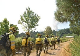 Brigadistas avanzan para actuar en el reciente incendio forestal de La Alberca.