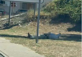 El individuo fue grabado a plena luz del día, en actitud indecorosa, a la entrada de Alba.