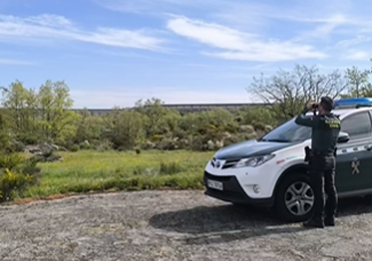 La Guardia Civil auxilia a una persona que sufrió el ataque de avispas asiáticas en El Payo