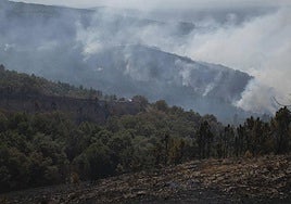 Incendios en Galicia.