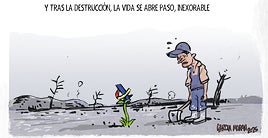 La viñeta de Morán