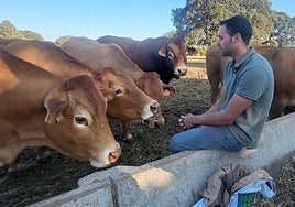 Un ganadero contemplando sus novillas.