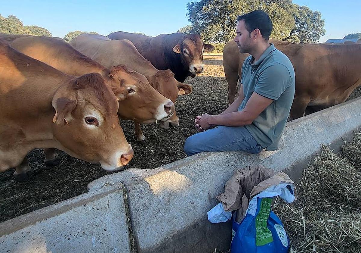 Un ganadero contemplando sus novillas.