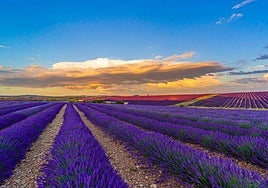 Caleruega, perteneciente a la provincia de Burgos.