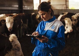 Provacuno presenta en Salamaq 25 la campaña «Por una Europa sostenible, la misión especial del vacuno»