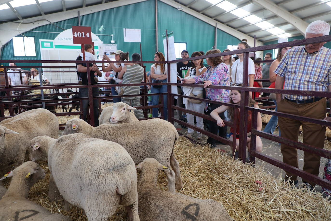 Las mejores imágenes del primer día de Salamaq 2025