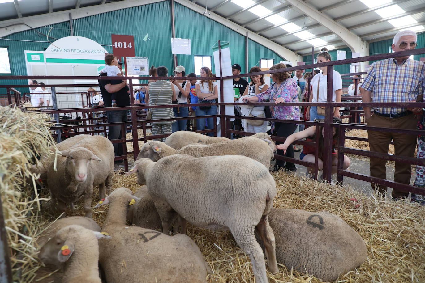 Las mejores imágenes del primer día de Salamaq 2025