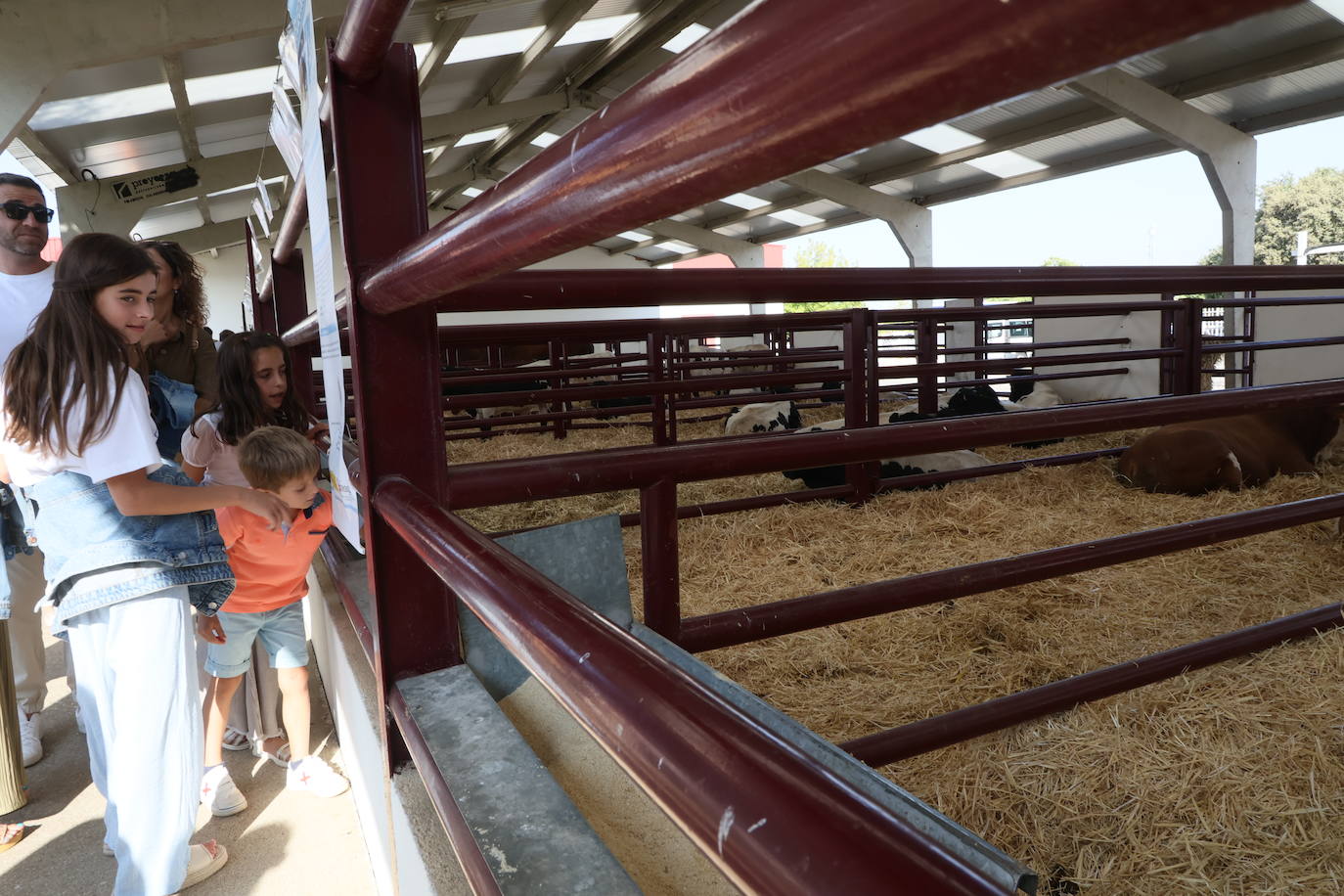 Las mejores imágenes del primer día de Salamaq 2025