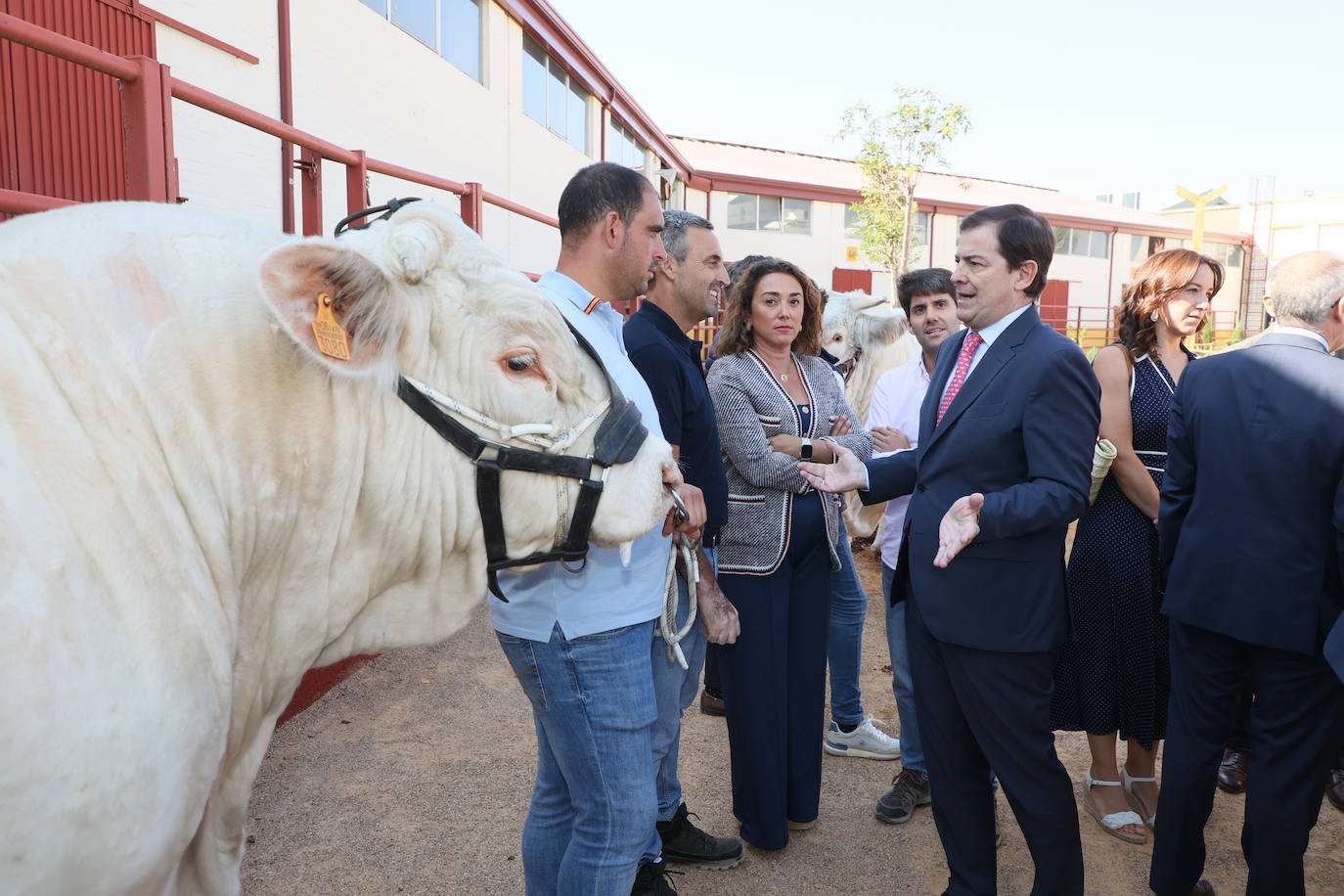 Las mejores imágenes del primer día de Salamaq 2025