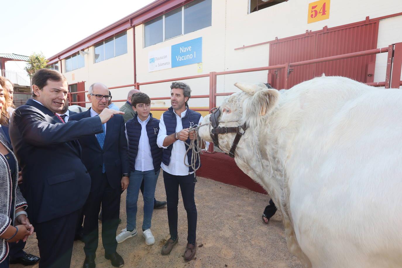 Las mejores imágenes del primer día de Salamaq 2025