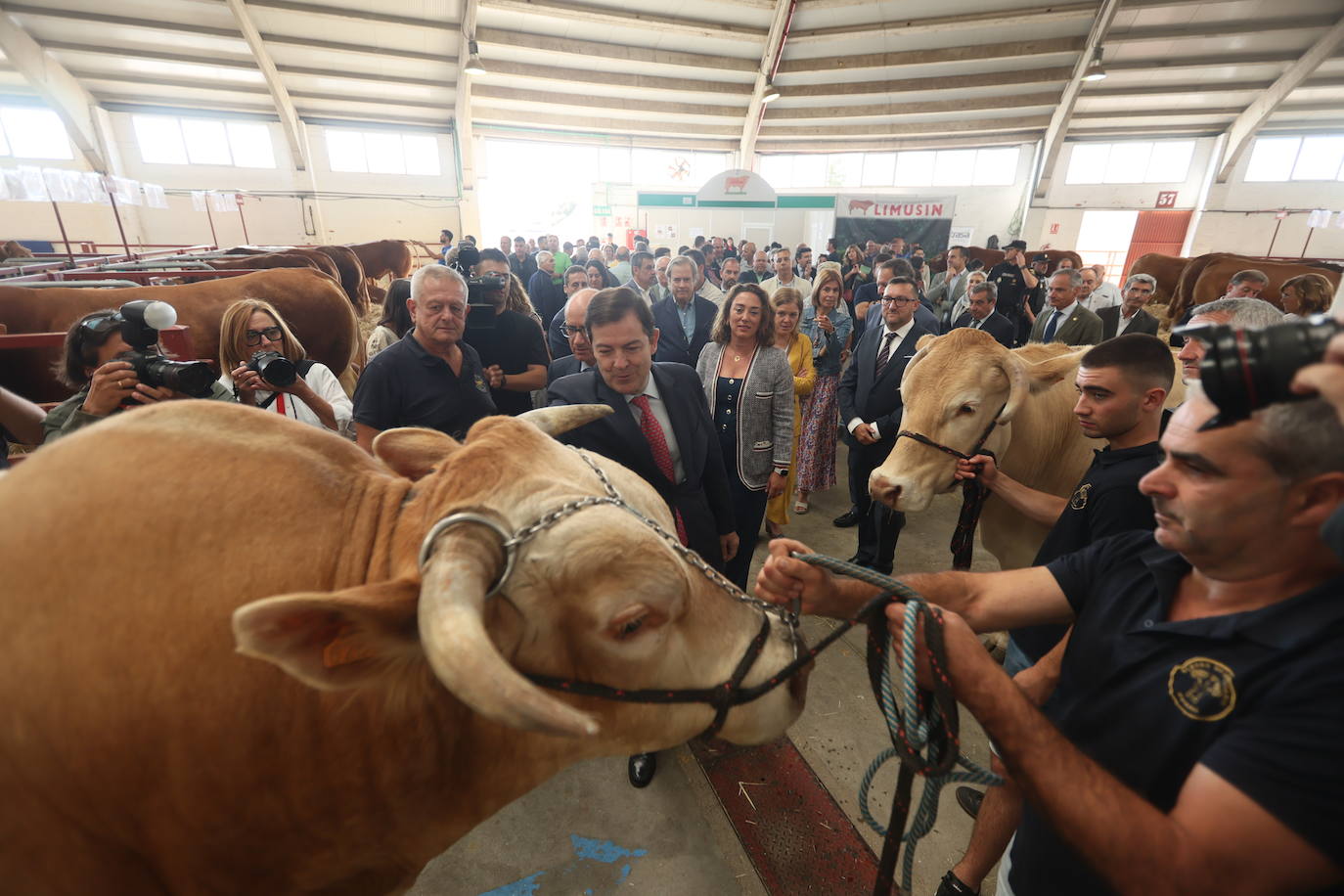 Las mejores imágenes del primer día de Salamaq 2025