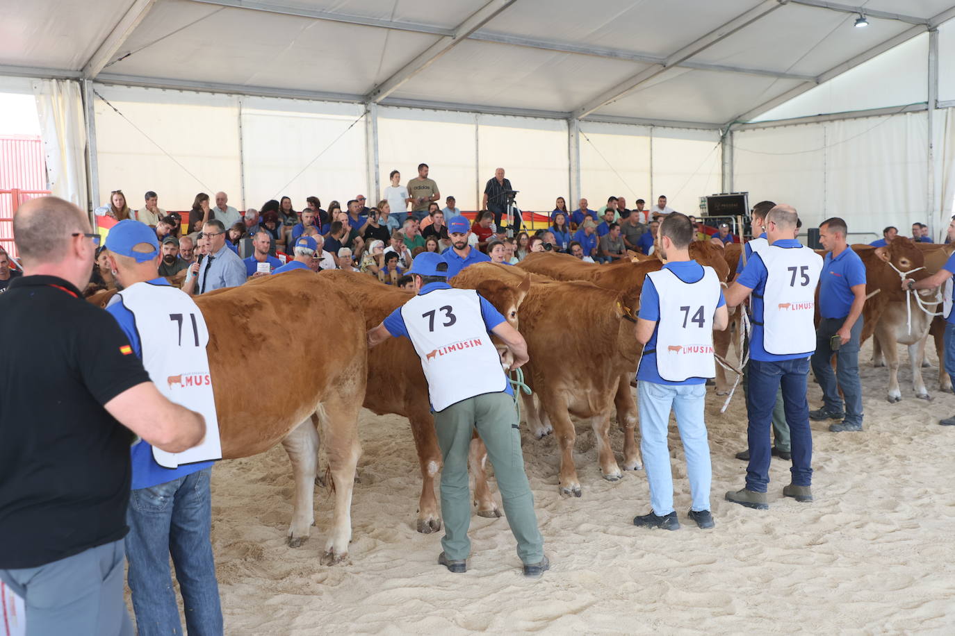 Las mejores imágenes del primer día de Salamaq 2025