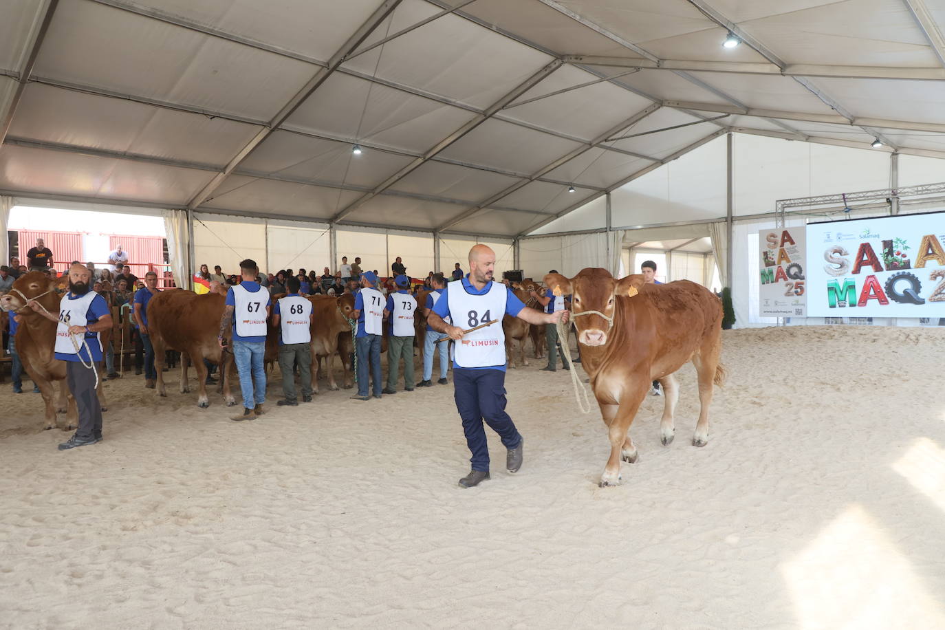 Las mejores imágenes del primer día de Salamaq 2025