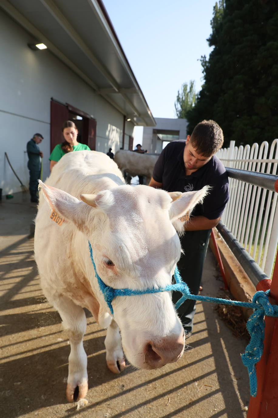 Las mejores imágenes del primer día de Salamaq 2025